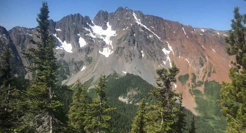 green trees stand in front of a mountainous ridge in the pacific northwest 